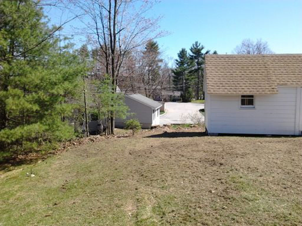 Yard with Shed