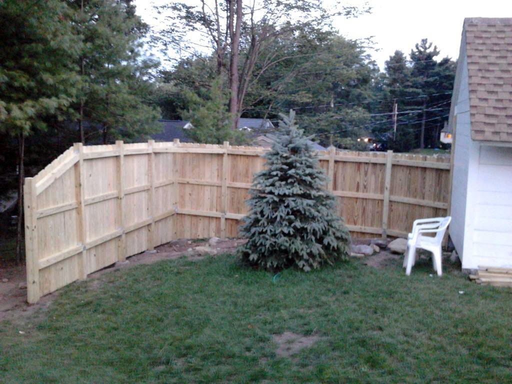 Yard with new fence and new spruce tree