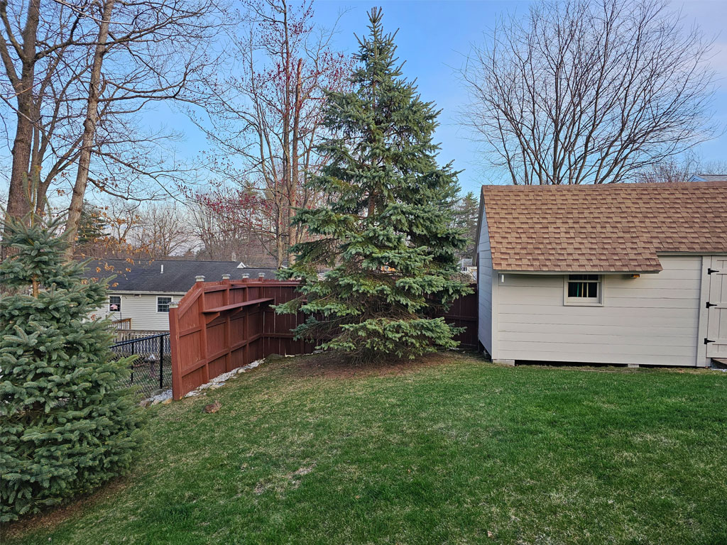 Yard with Shed and Fence with Shelves