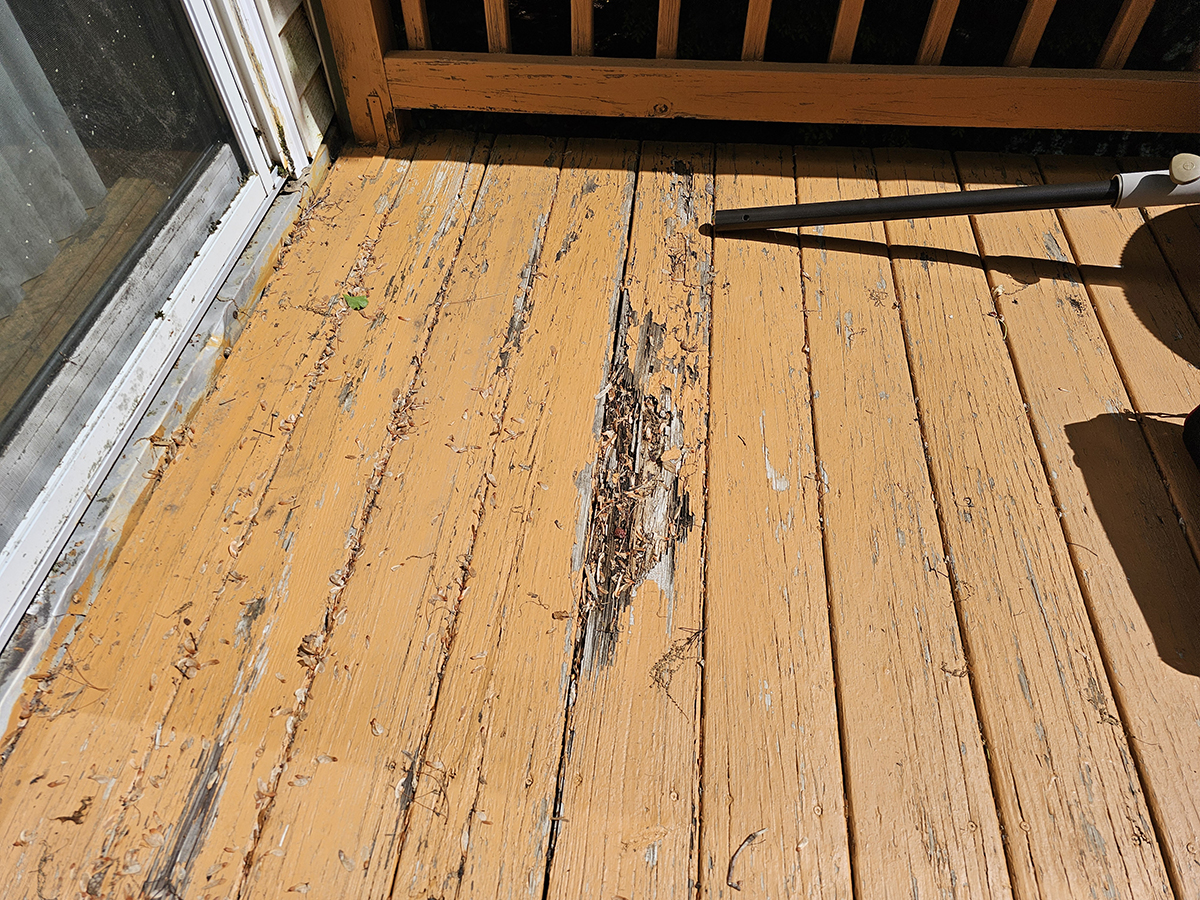 Severely rotted deck board showing decay