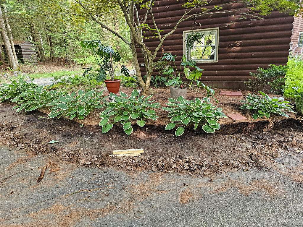 Area excavated after removal of original retaining wall timbers