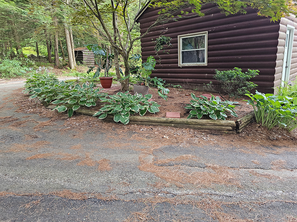 Wide view of old timber retaining wall before replacement