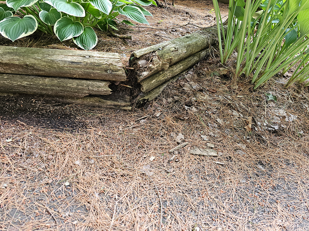 Close-up of rotted timber joint in old retaining wall